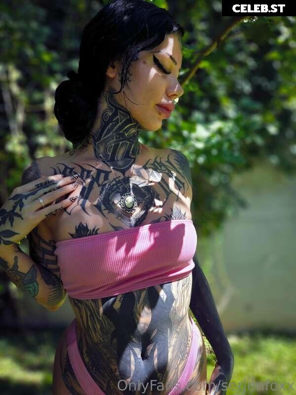 Serjenfox Image 2760983