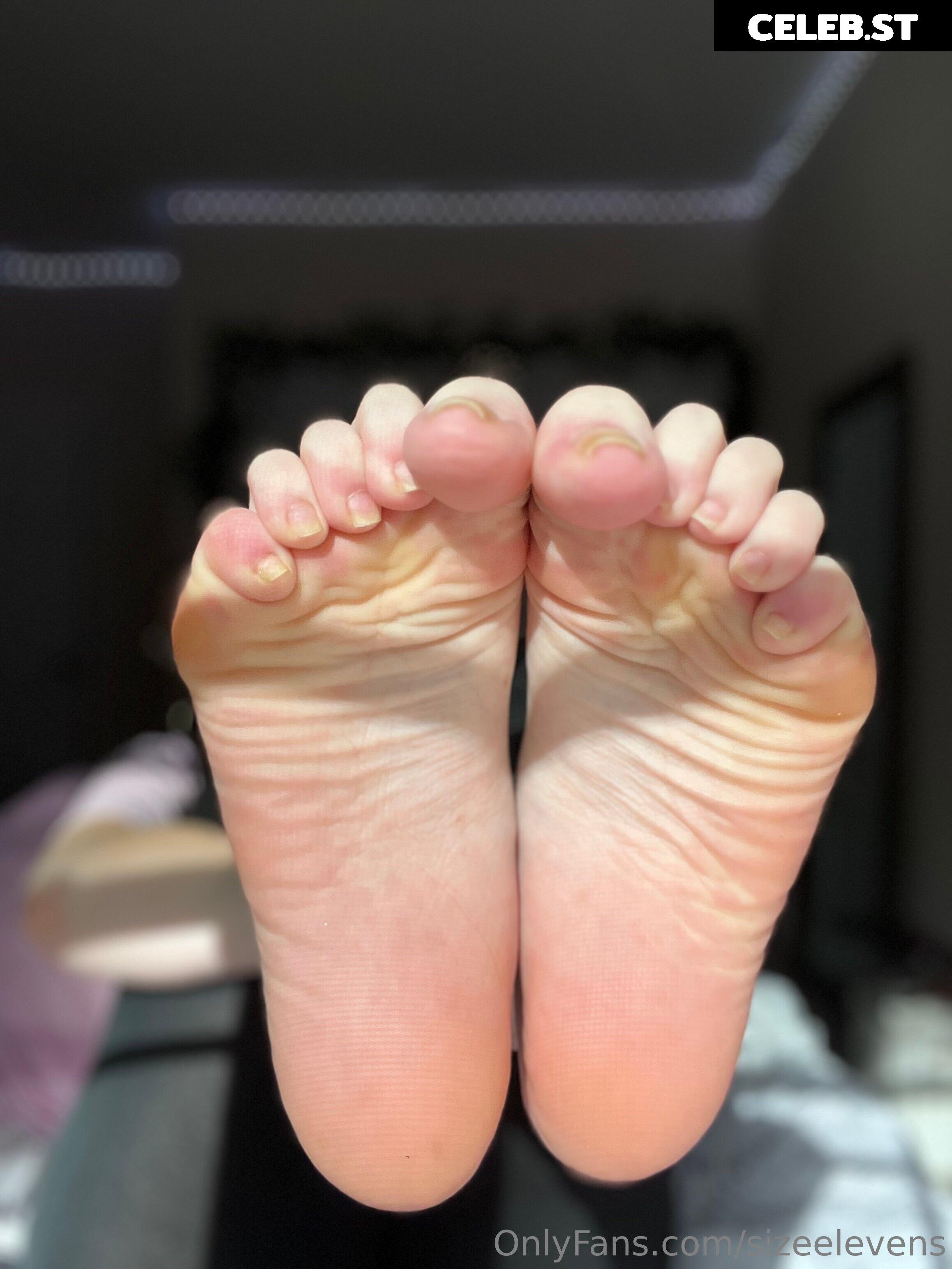 Sizeelevens Image 2753216