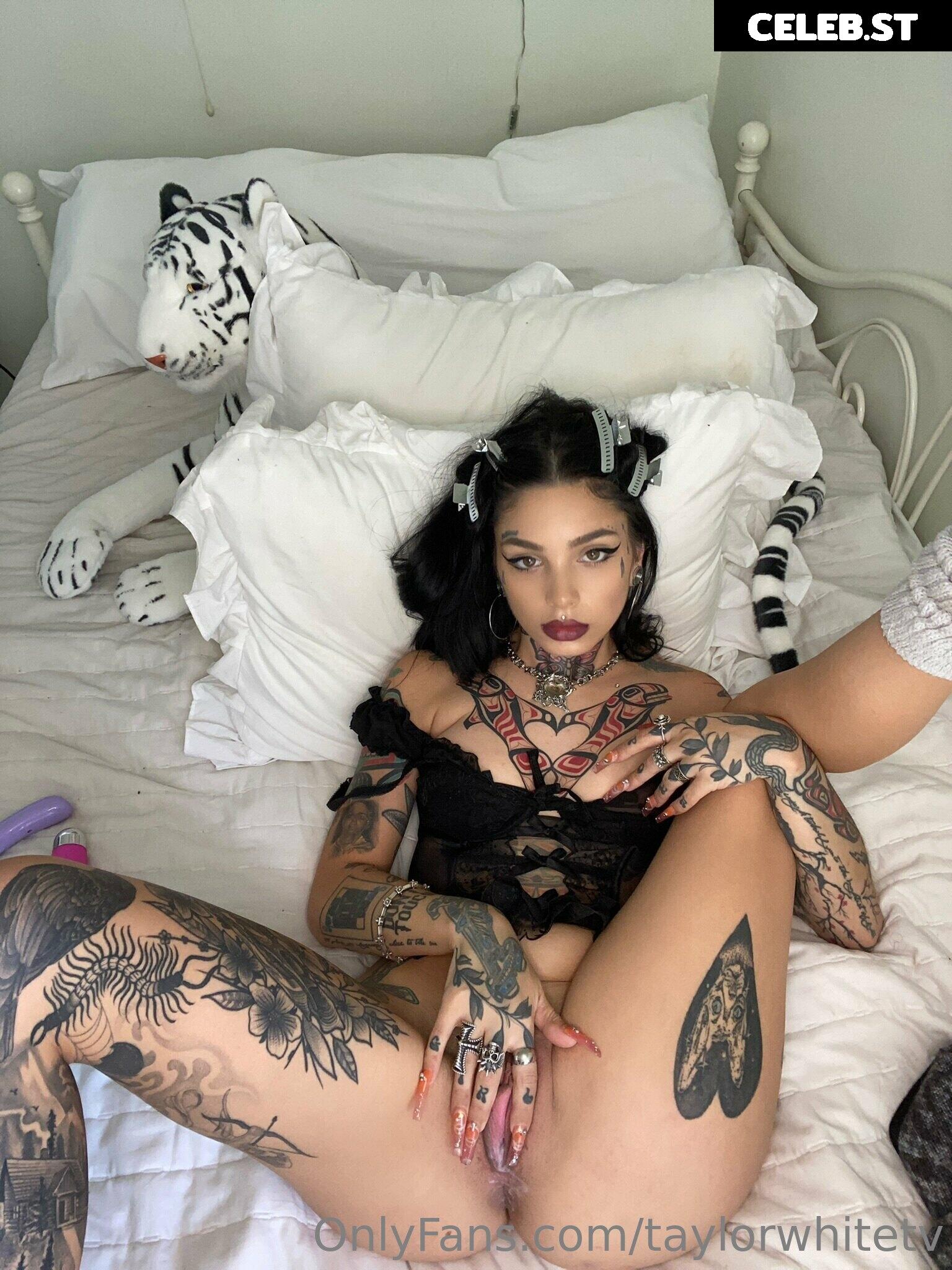 Taylor White Image 2735273