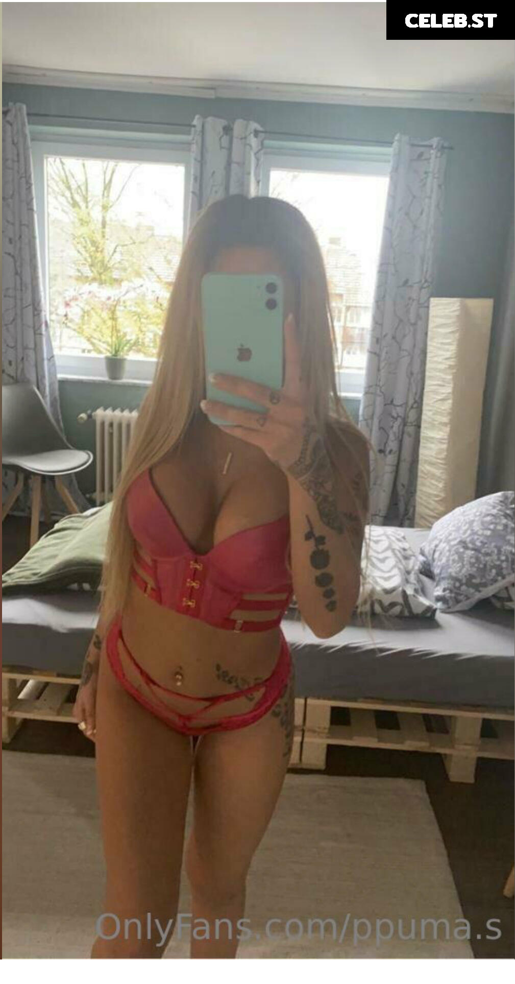 Ppuma.s Image 2730852