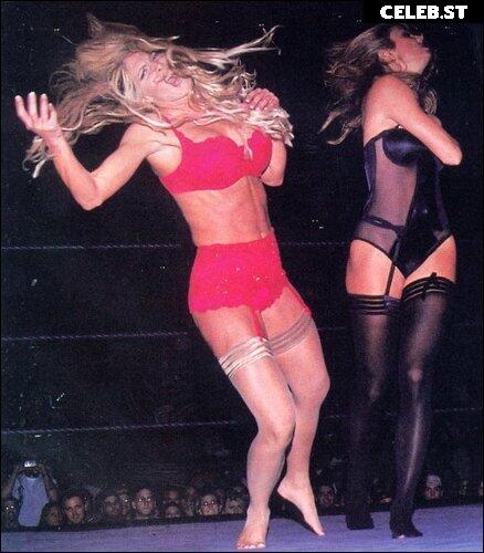 WWE Torrie Wilson Image 27255428