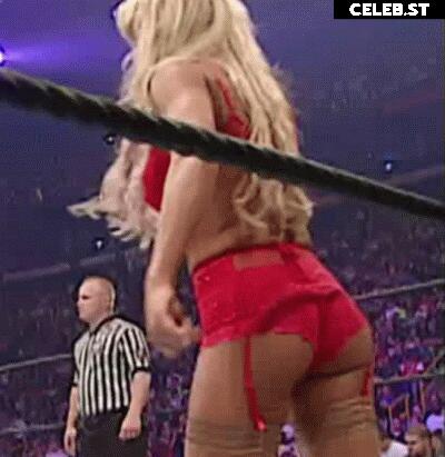 WWE Torrie Wilson Image 27255419