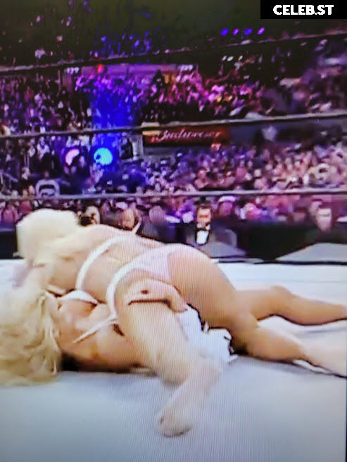WWE Torrie Wilson Image 27255453