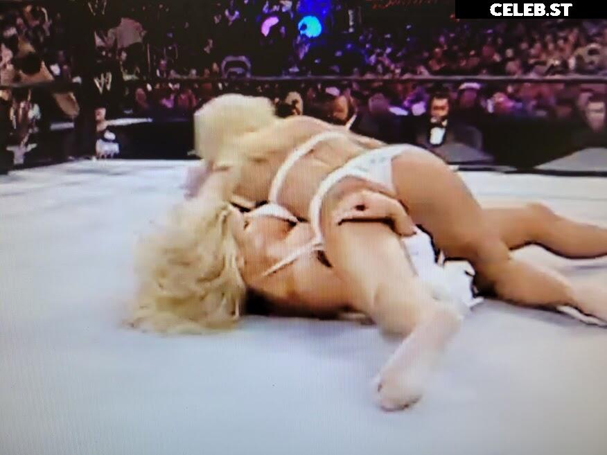 WWE Torrie Wilson Image 27255452