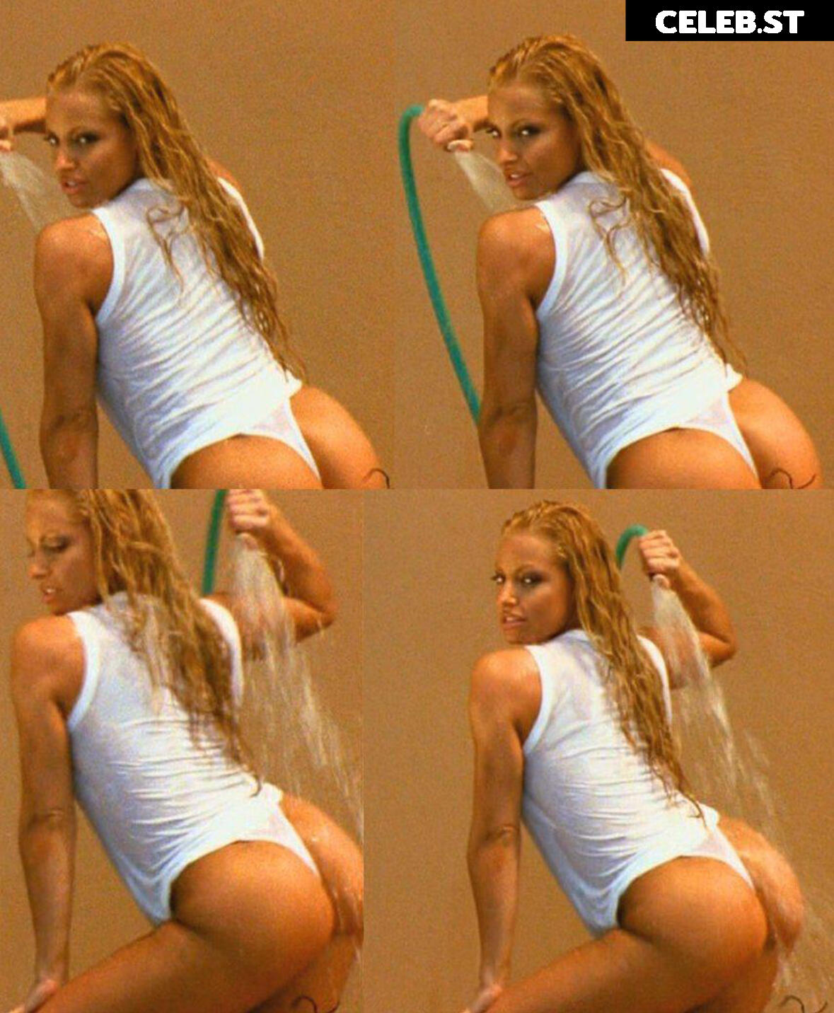Trish Stratus Image 2726320