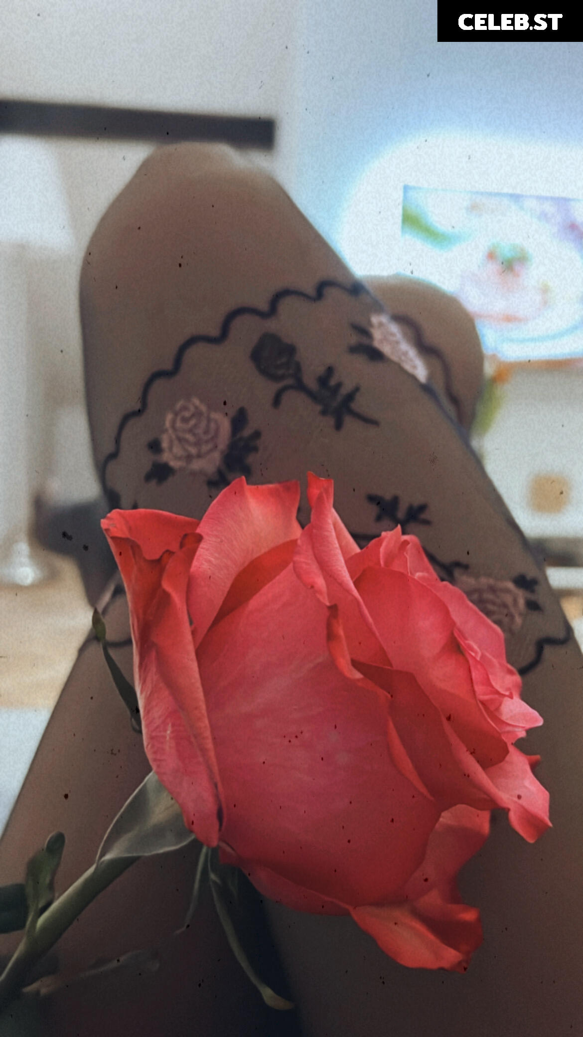 dominikadominica Image 272230