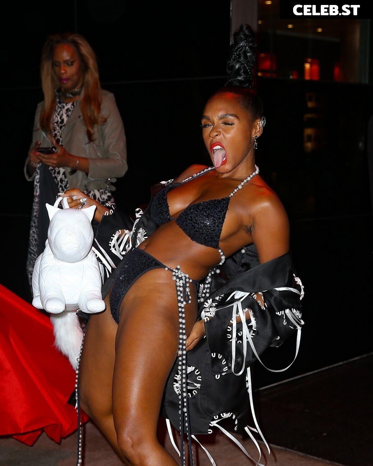 Janelle Monae Image 2728409