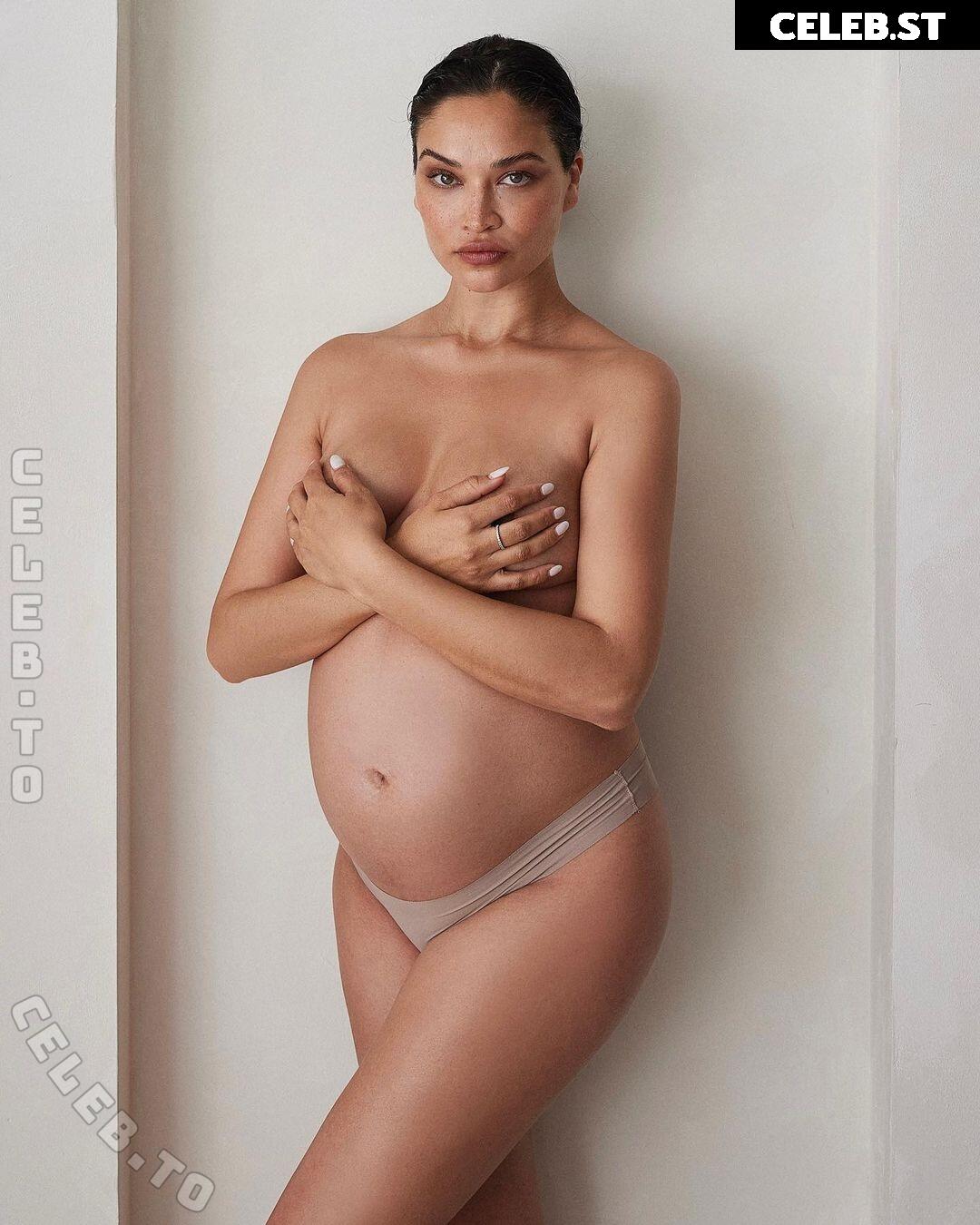 Pregnant Image 27155519