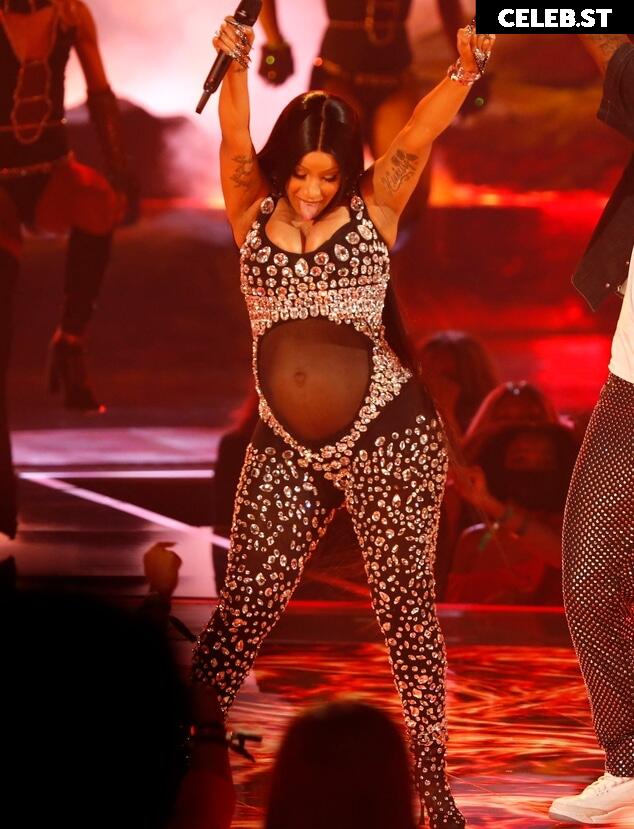 Pregnant Image 27155500
