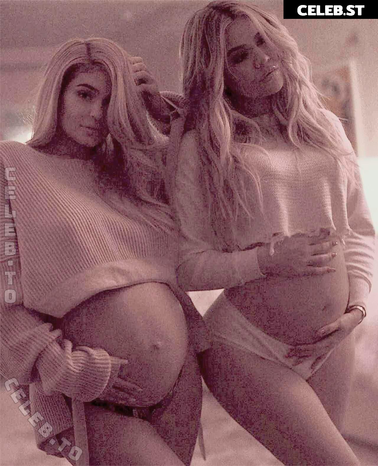 Pregnant Image 27155508