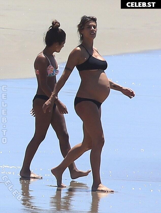 Pregnant Image 27155460