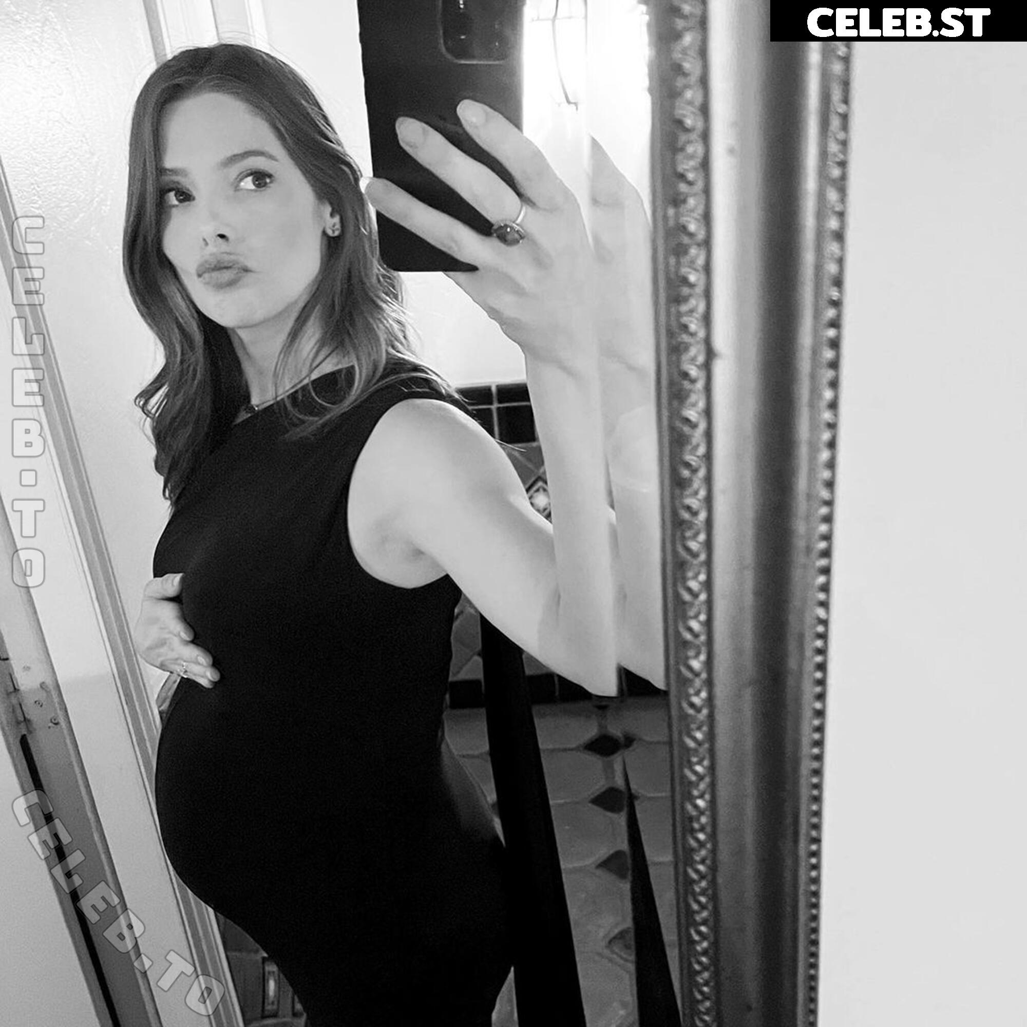 Pregnant Image 27155456