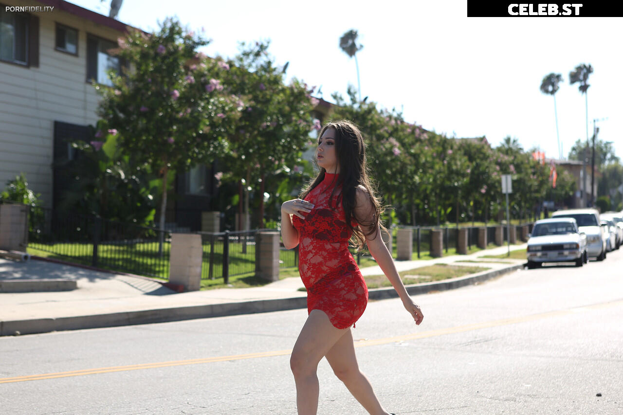 Pregnant Image 27155100