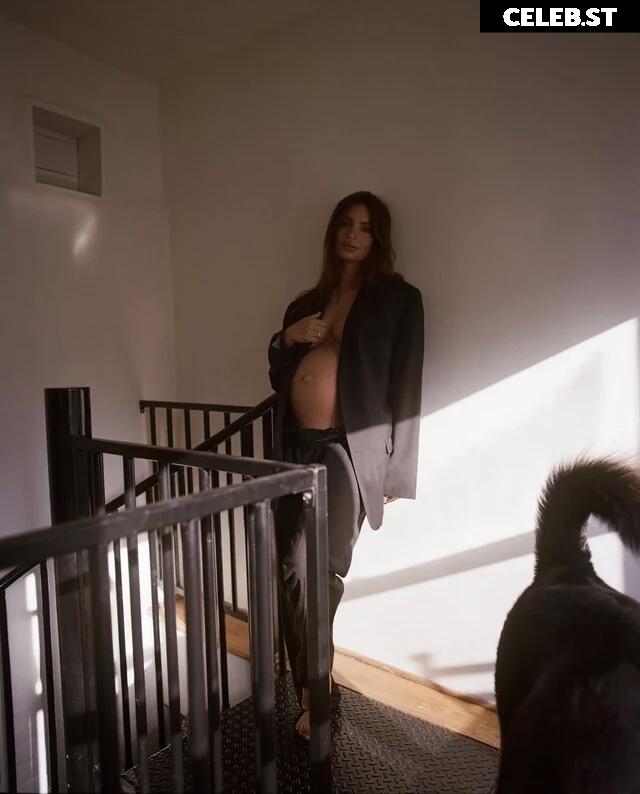 Pregnant Image 27155145