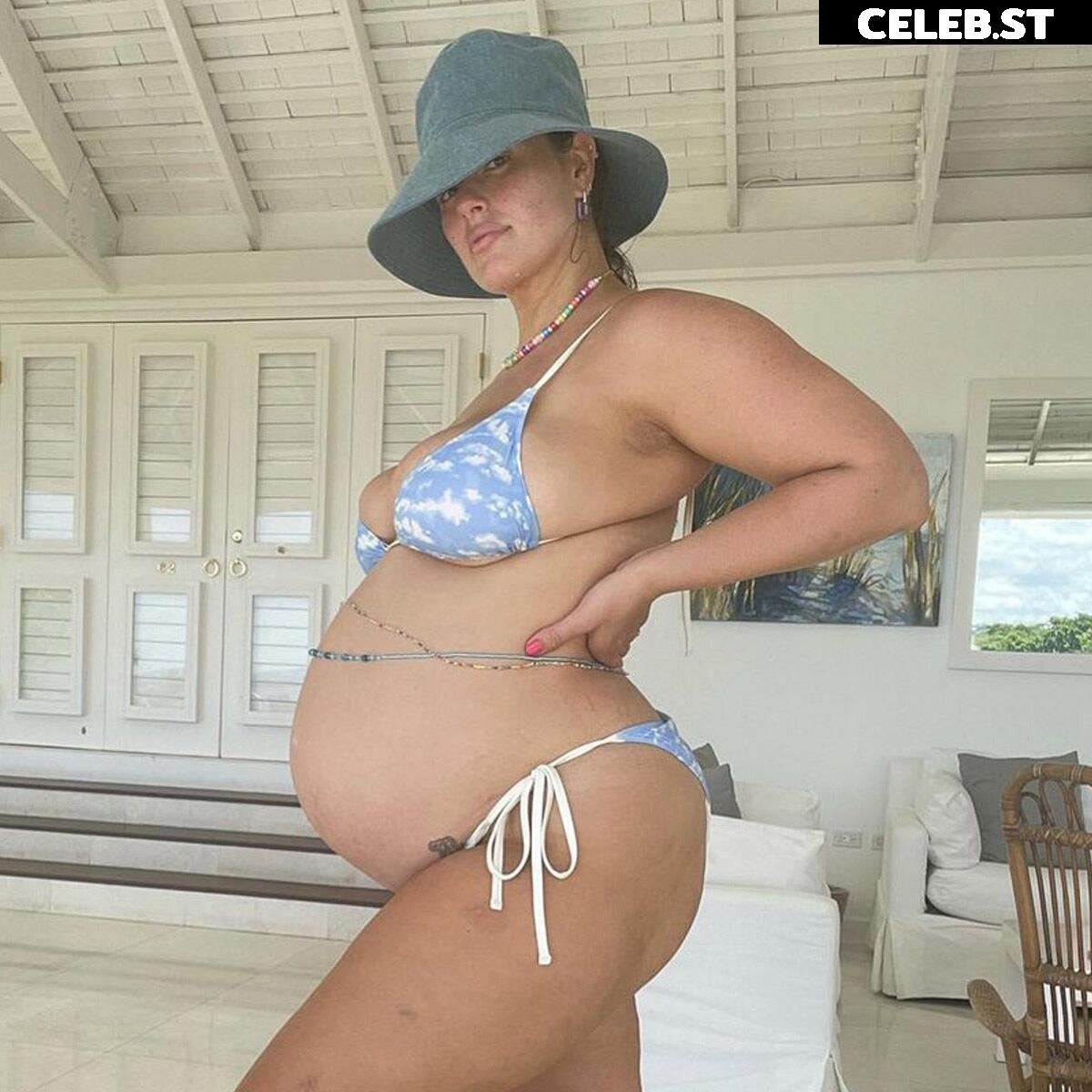 Pregnant Image 27155010