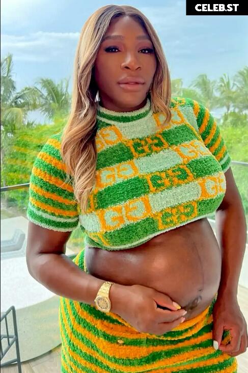 Pregnant Image 27155019