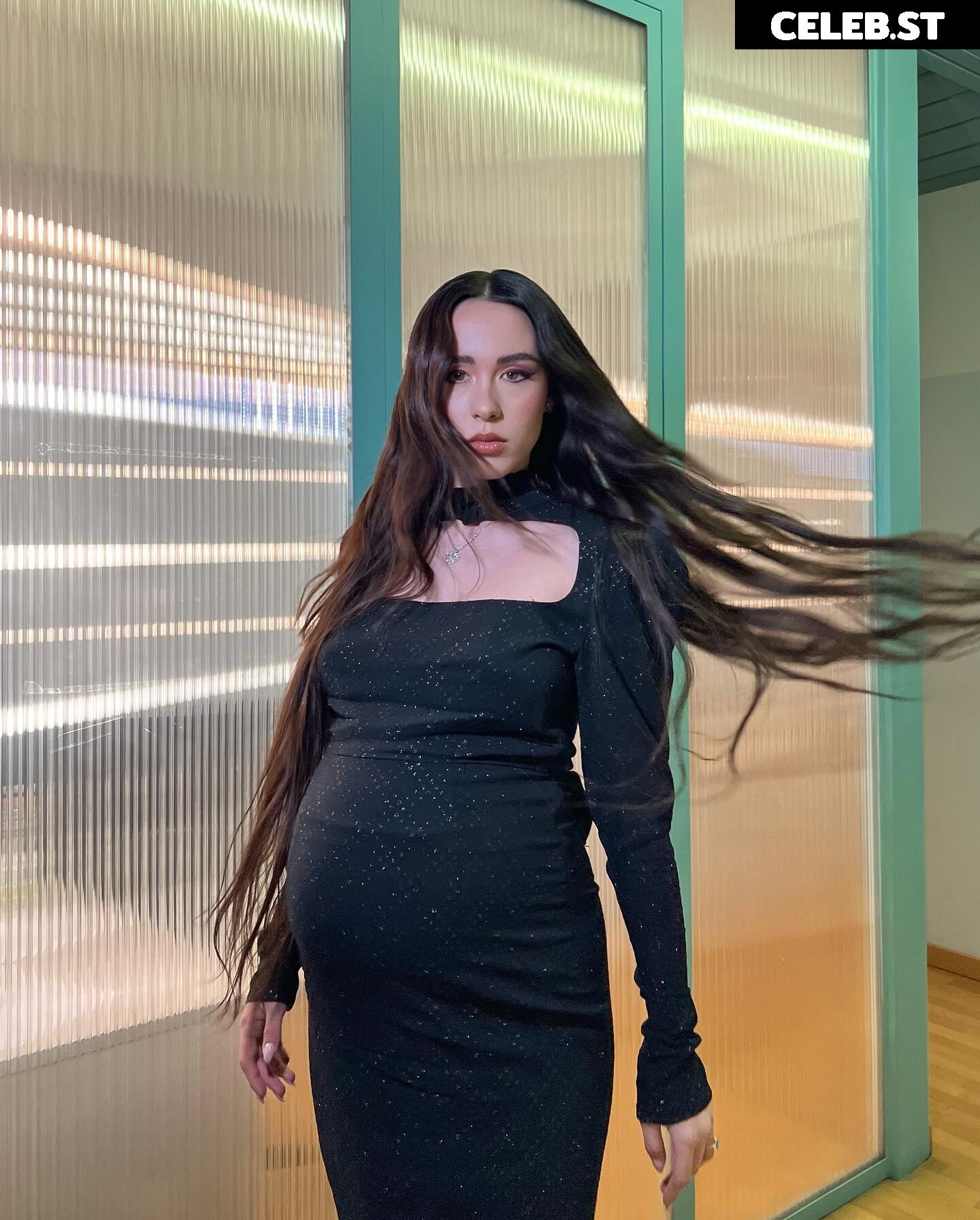 Pregnant Image 27155001