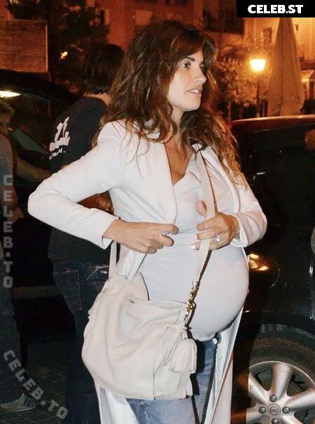 Pregnant Image 27155335