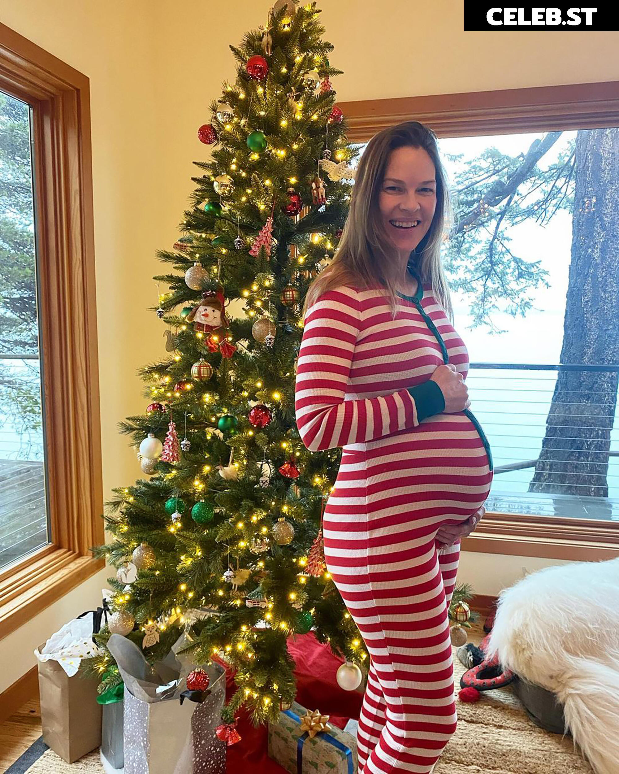 Pregnant Image 27155360