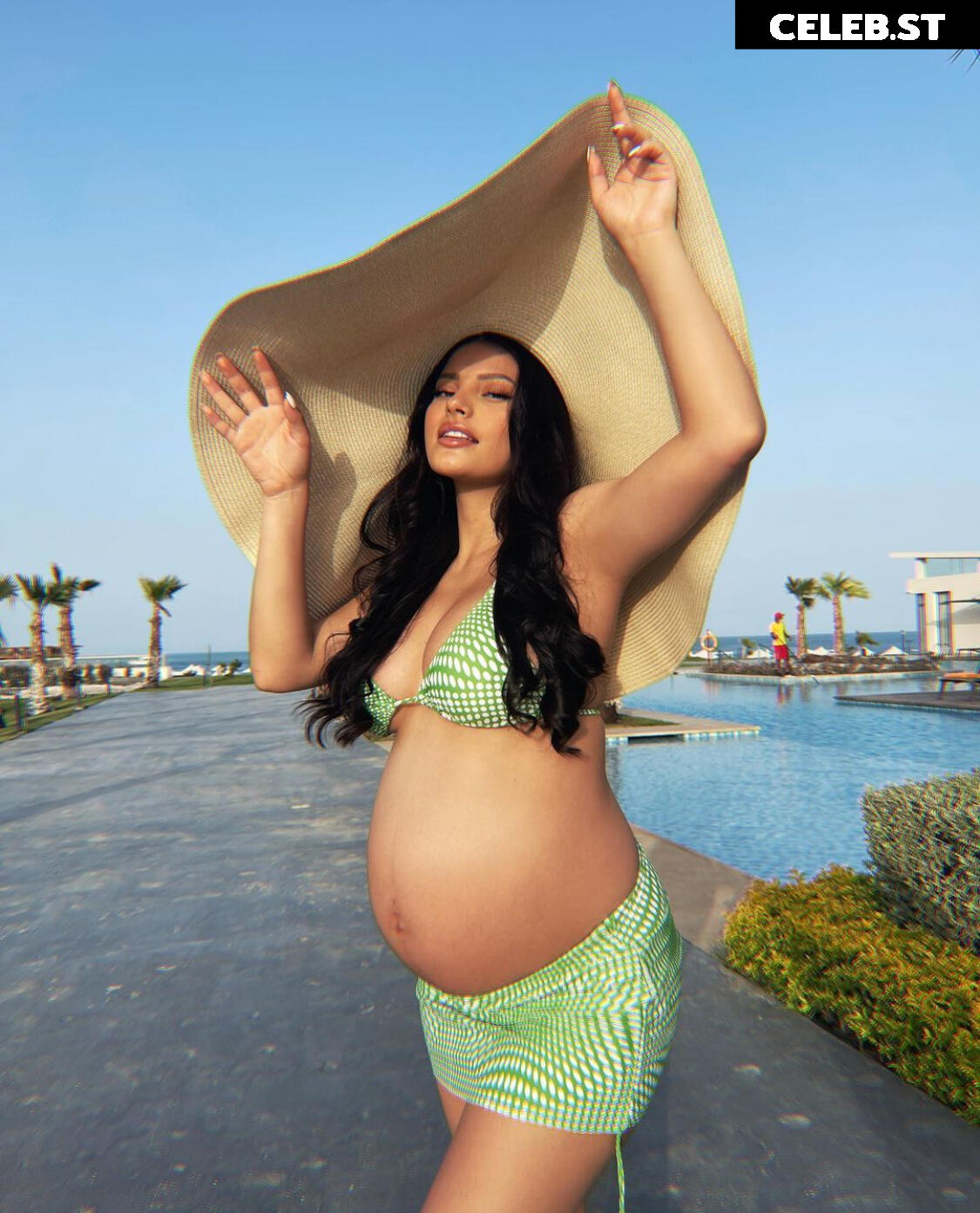 Pregnant Image 27155293