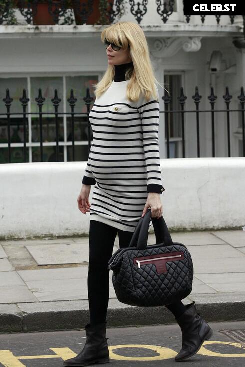 Pregnant Image 27155229