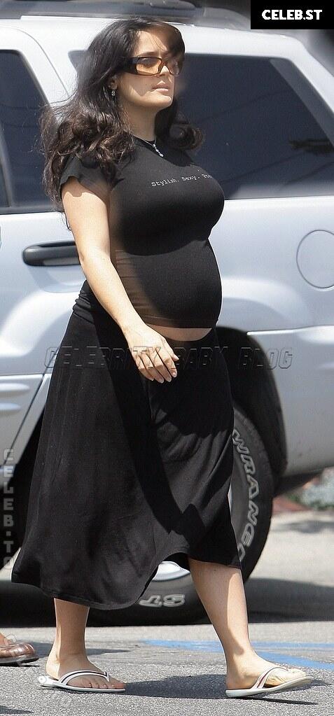 Pregnant Image 27155256