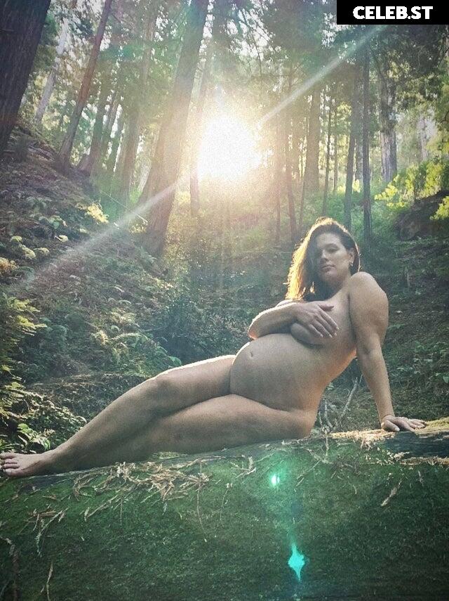Pregnant Image 27154996