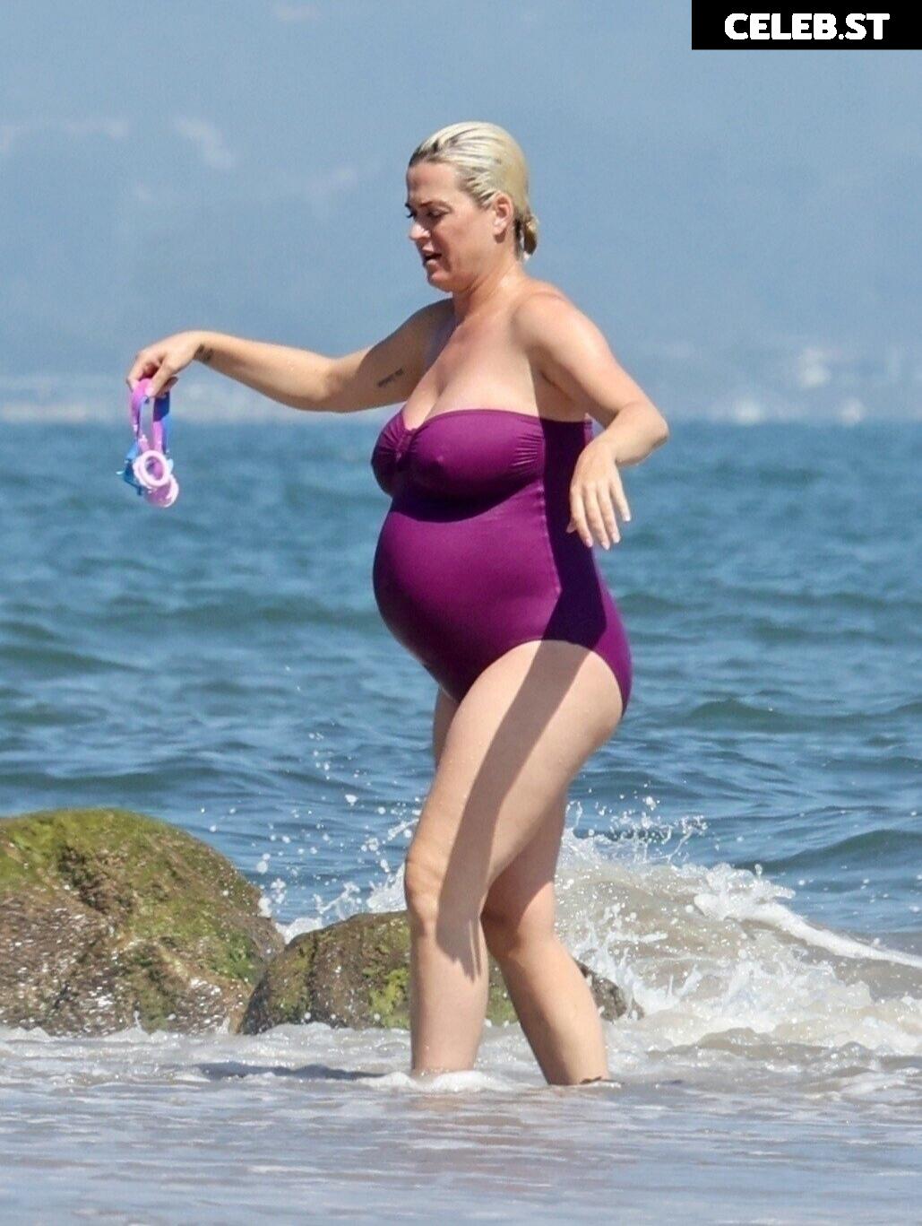 Pregnant Image 27154973