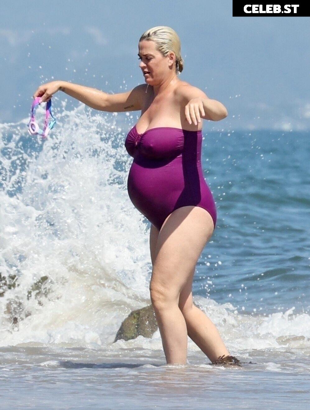 Pregnant Image 27154970