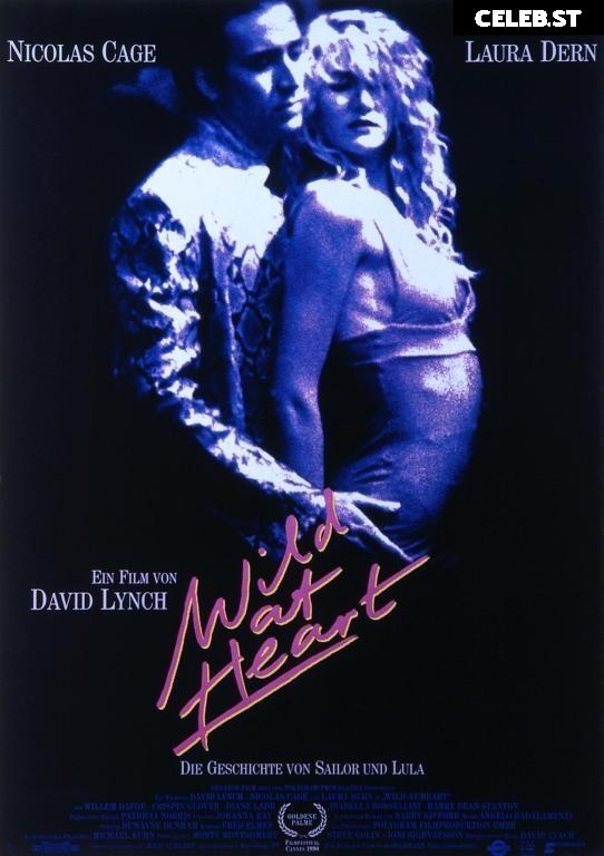 Die besten erotischen Filme im TV Image 27166839