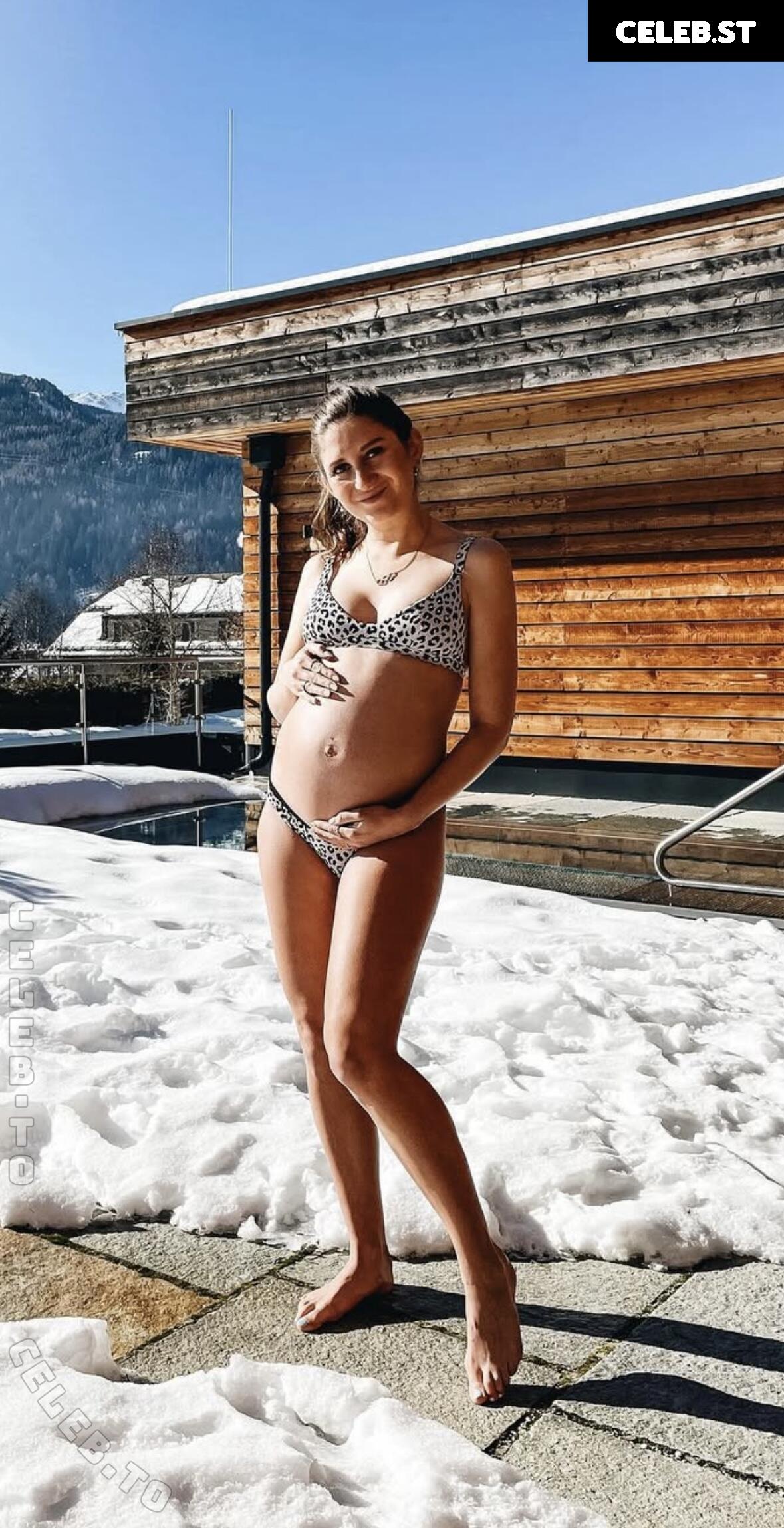 Pregnant Image 27169943