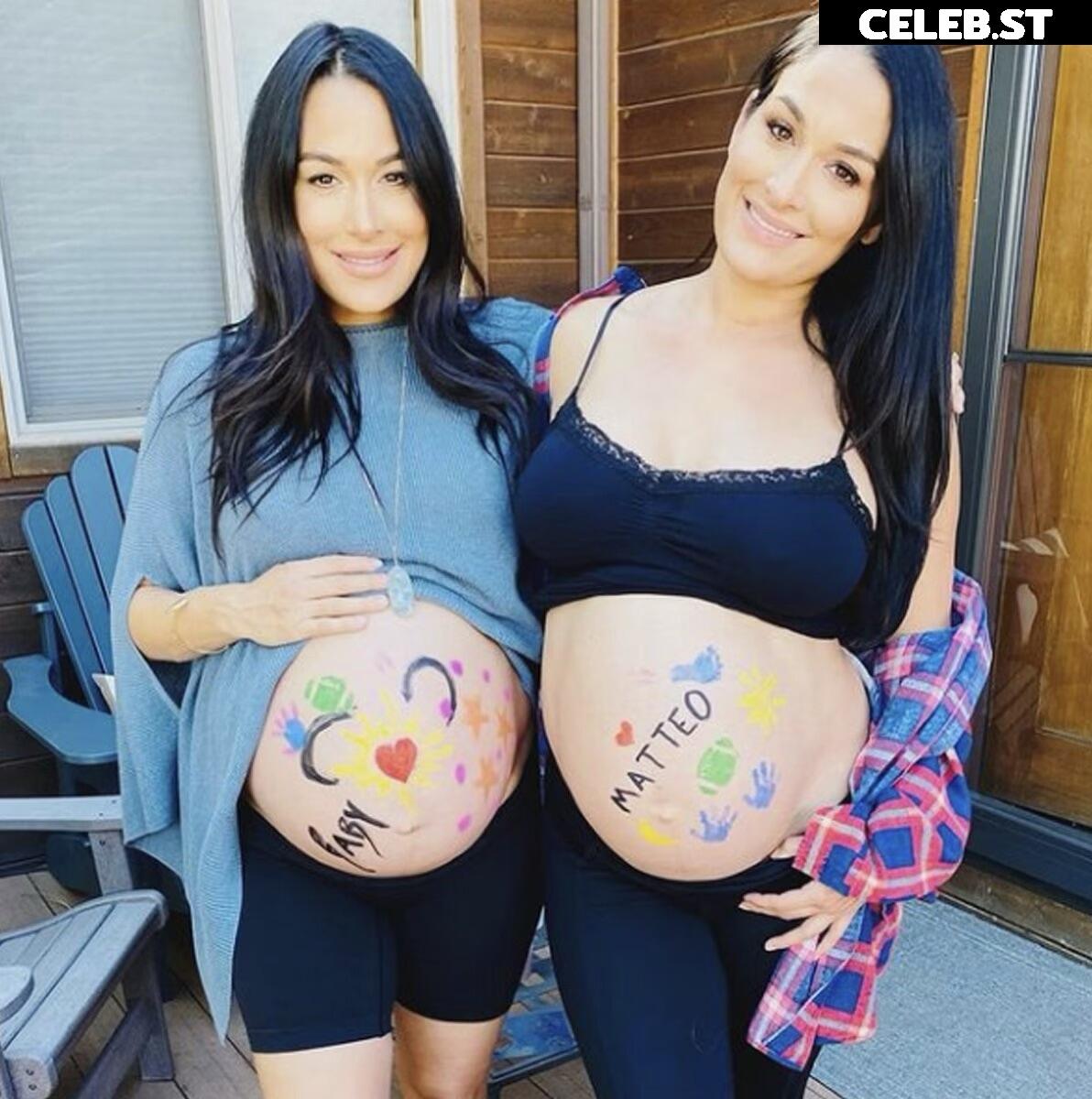 Pregnant Image 27169976