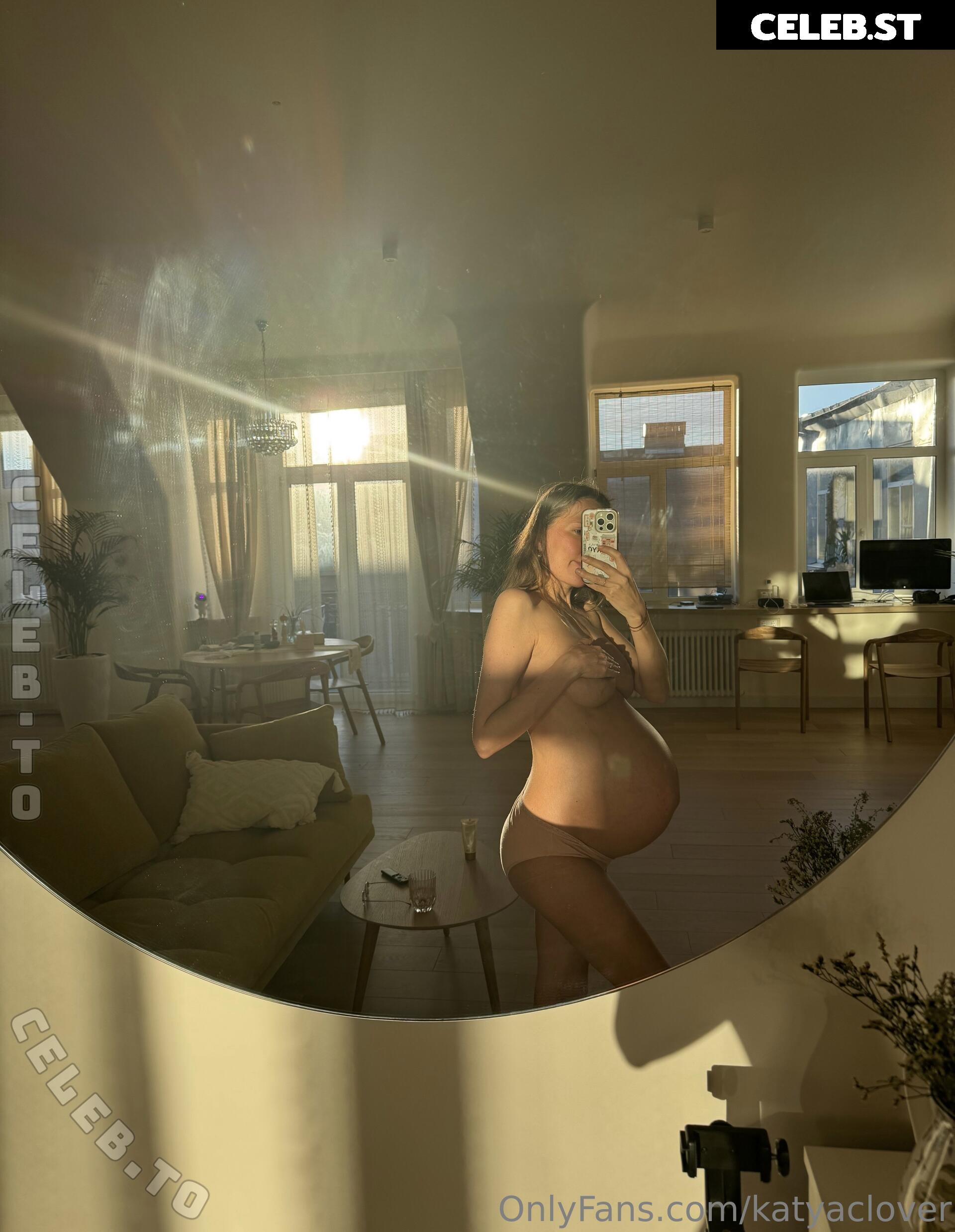 Pregnant Image 27169800