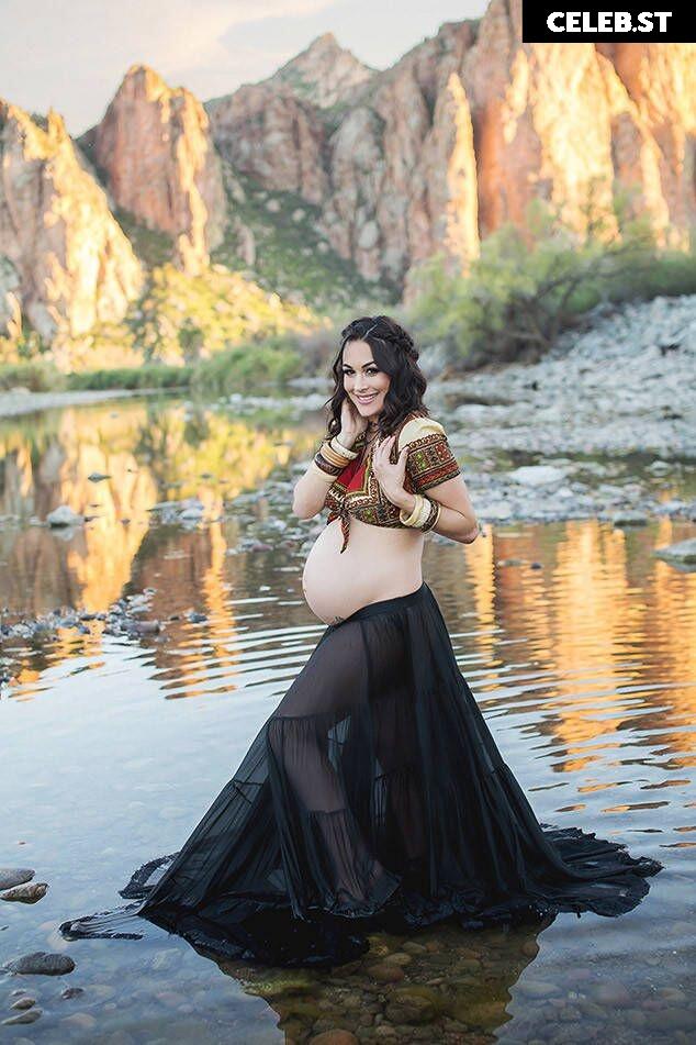 Pregnant Image 27169561