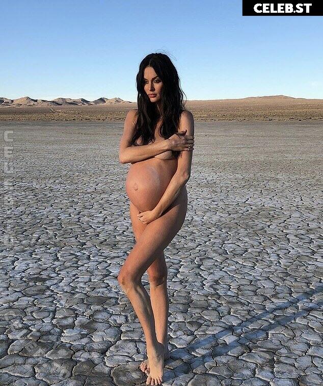 Pregnant Image 27169629