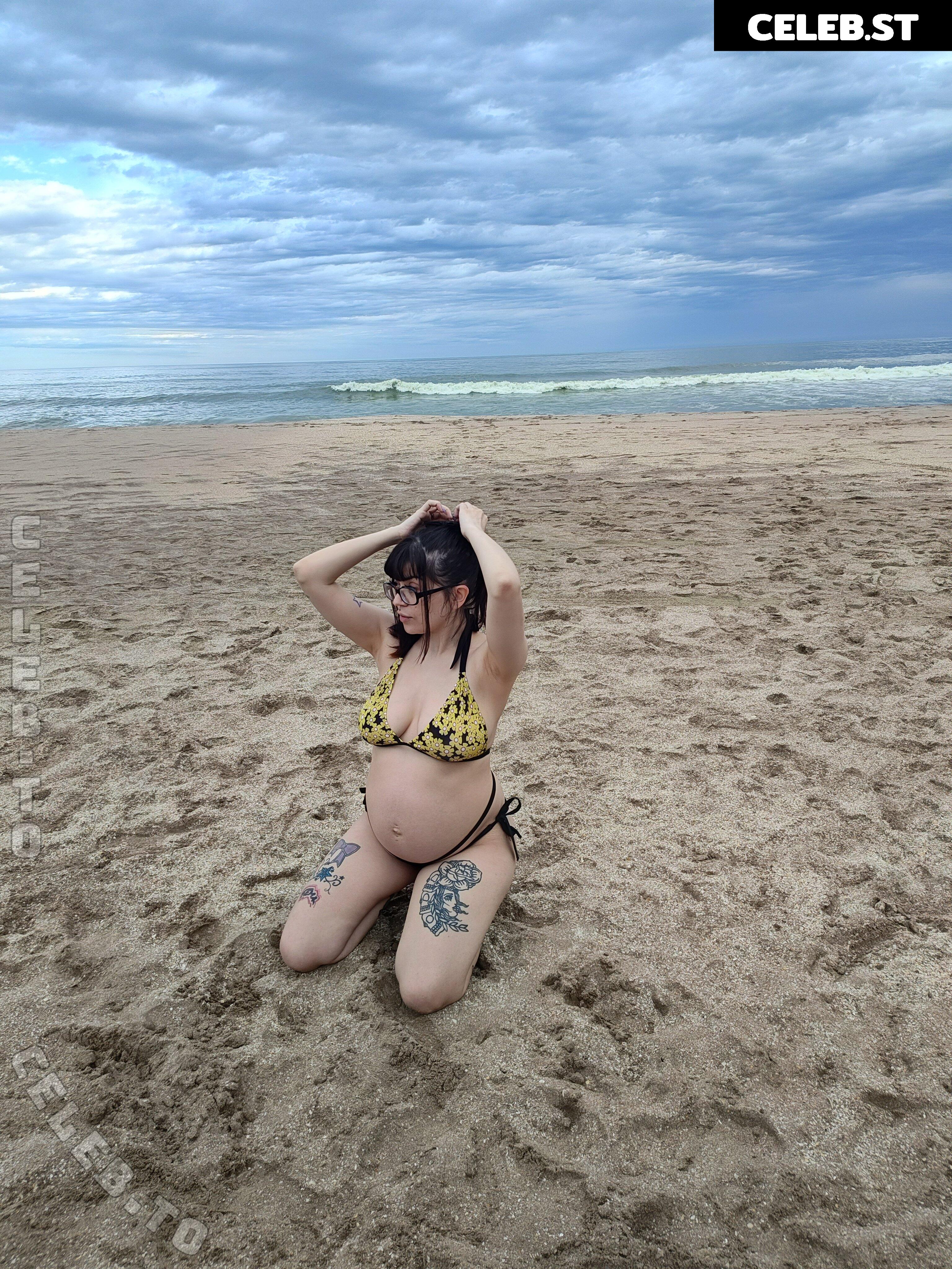 Pregnant Image 27171951