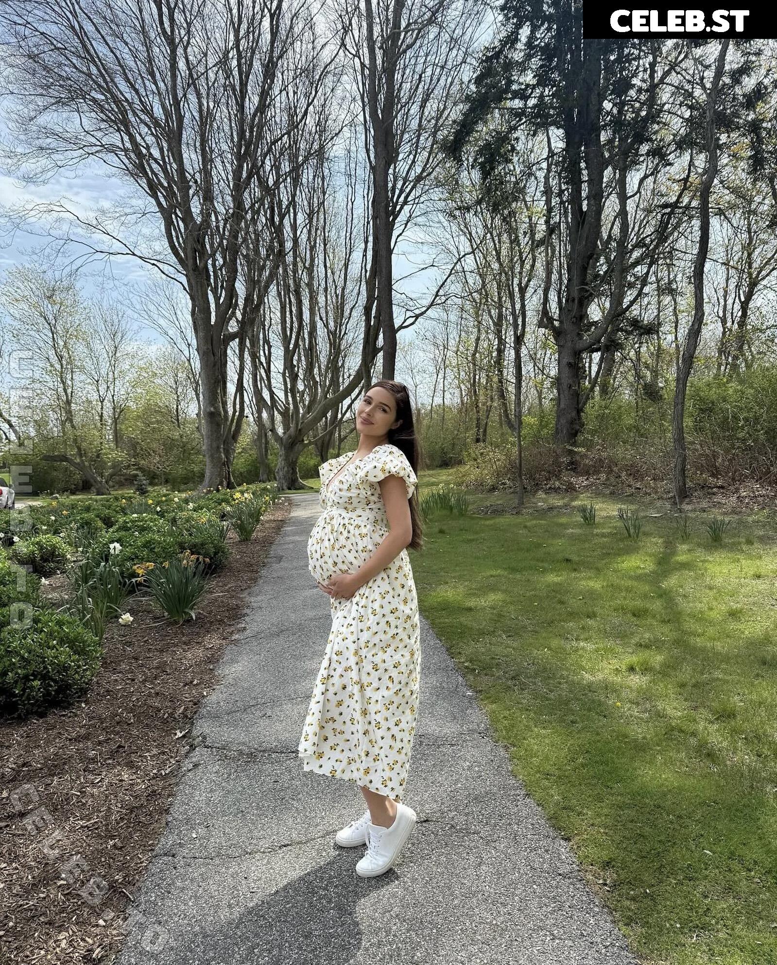 Pregnant Image 27171809