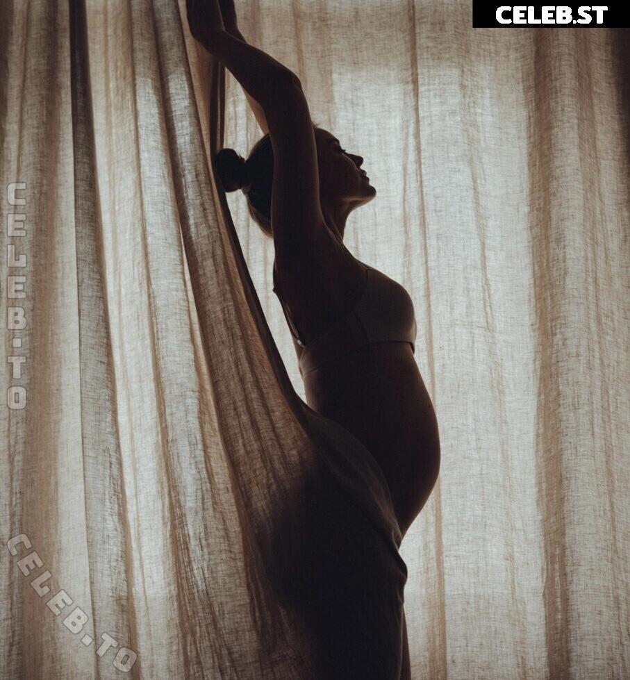 Pregnant Image 27171877