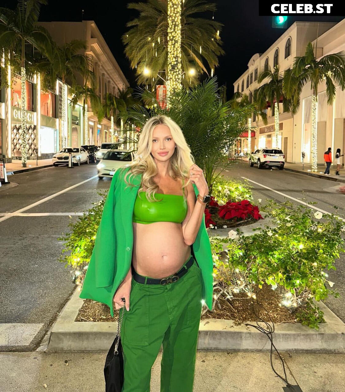 Pregnant Image 27171591