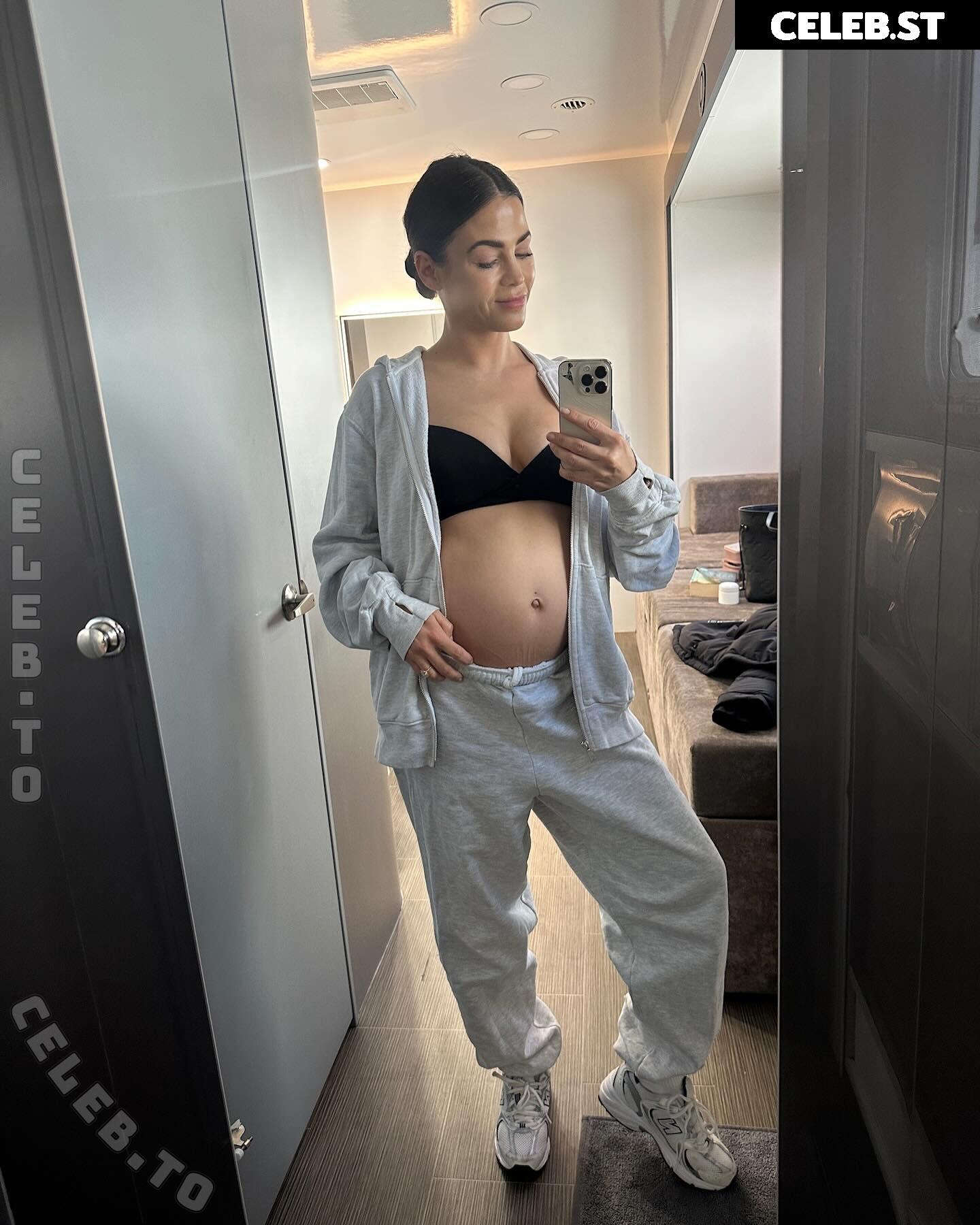 Pregnant Image 27171190