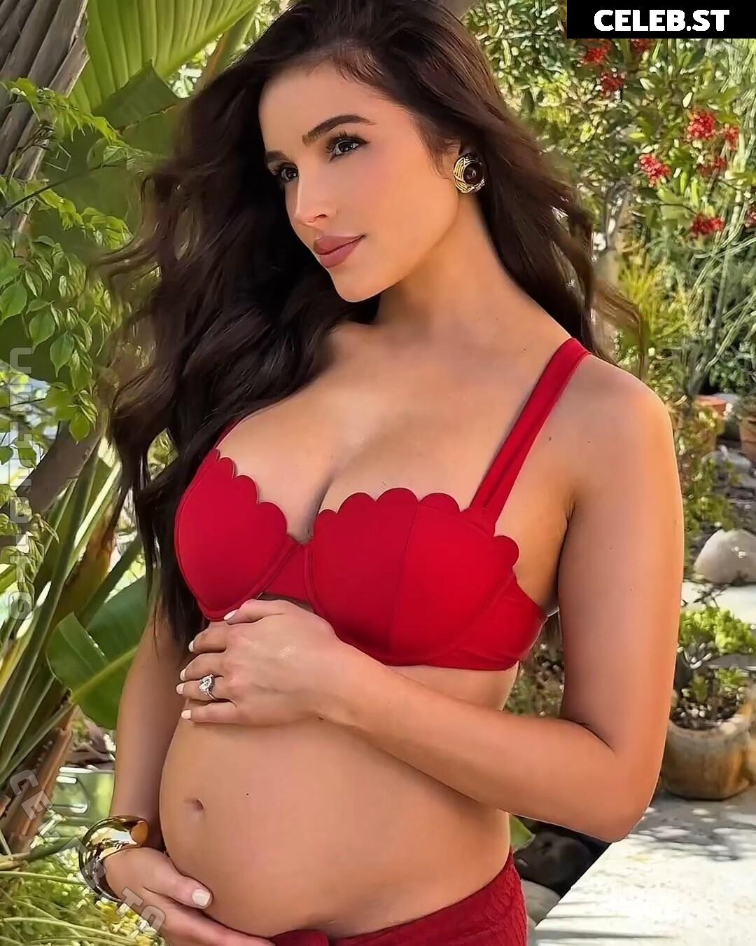 Pregnant Image 27171118