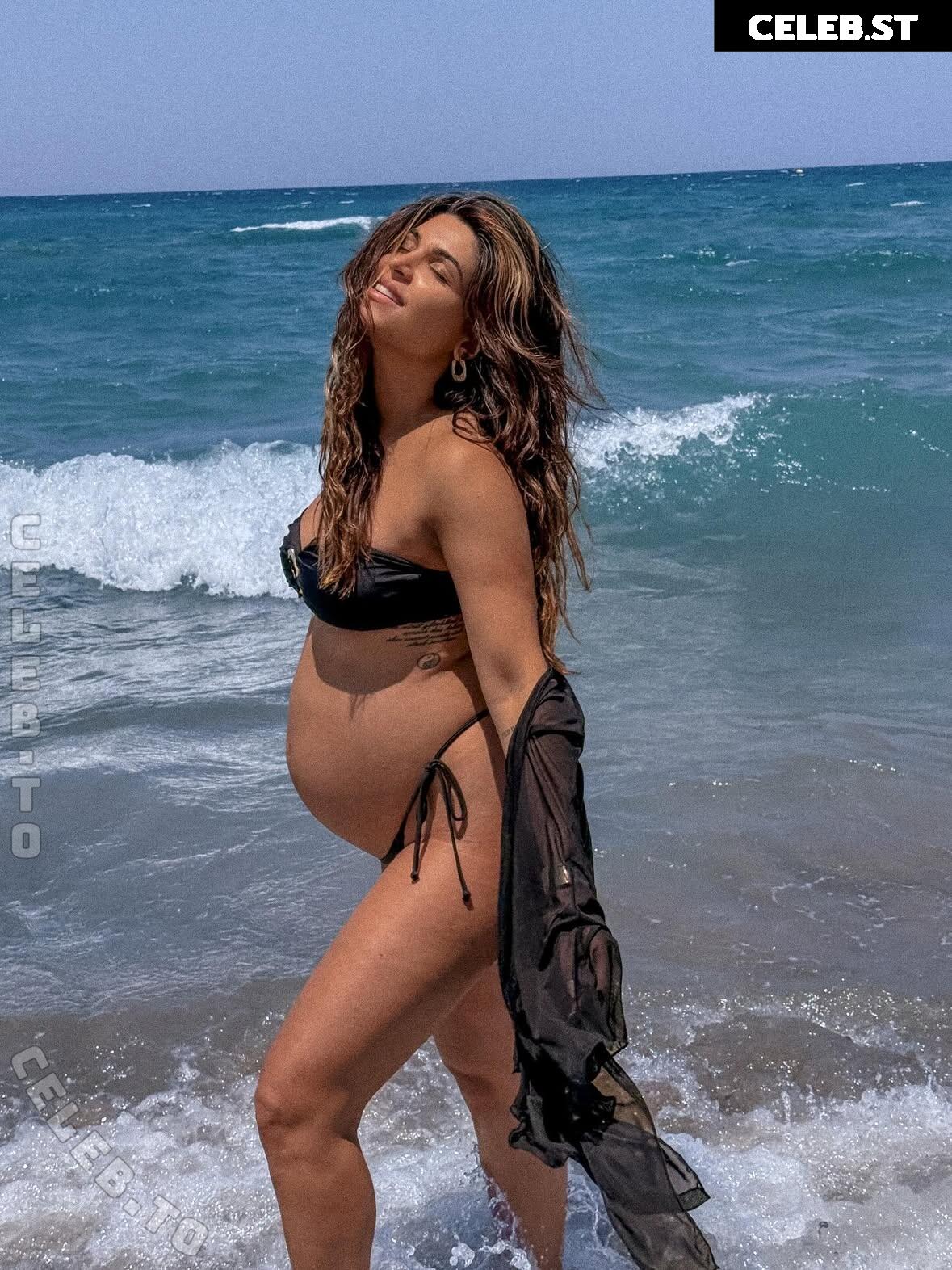 Pregnant Image 27171095