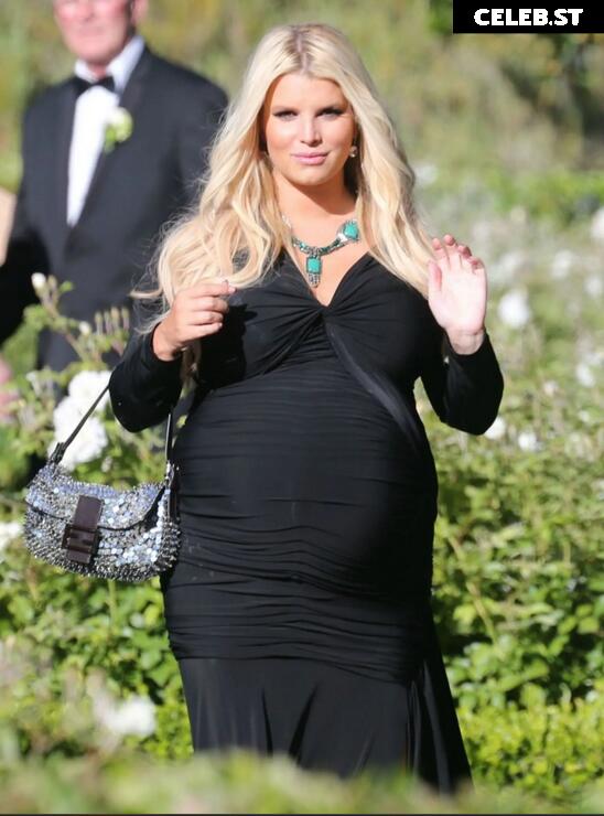 Pregnant Image 27171052