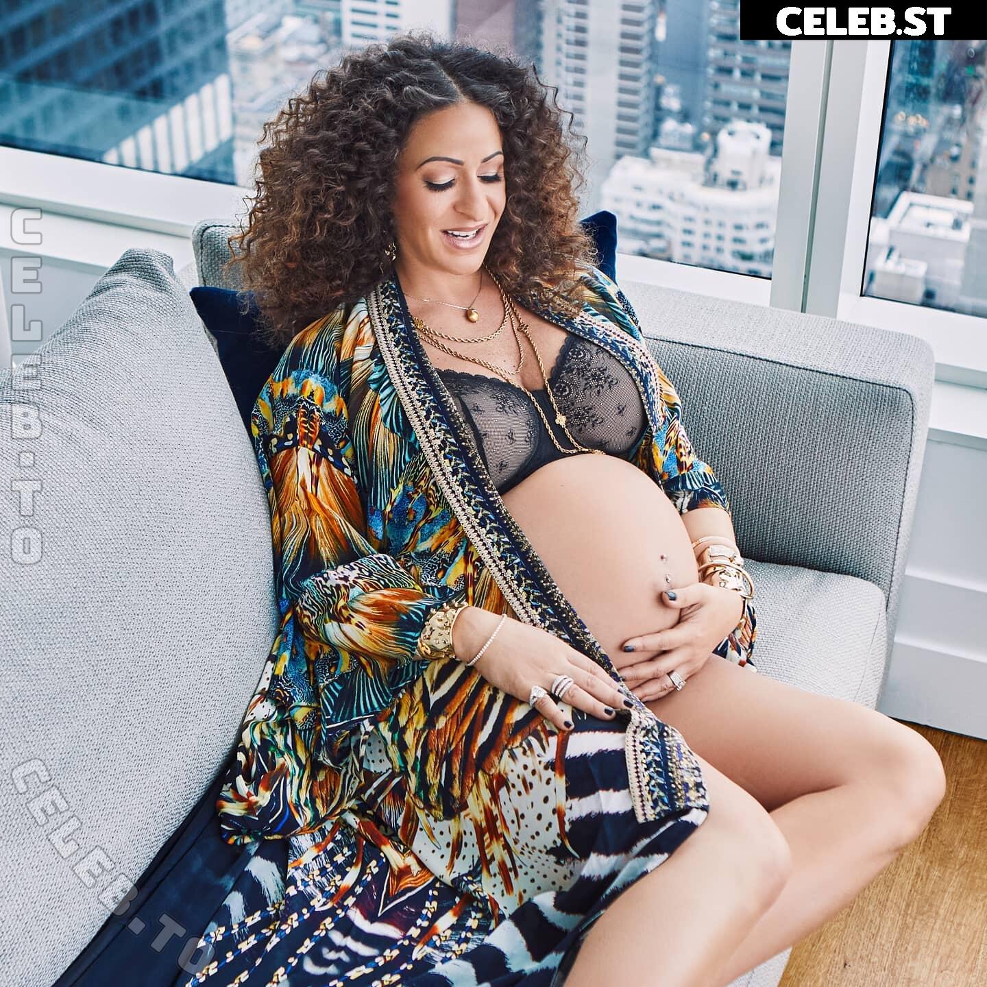 Pregnant Image 27171071