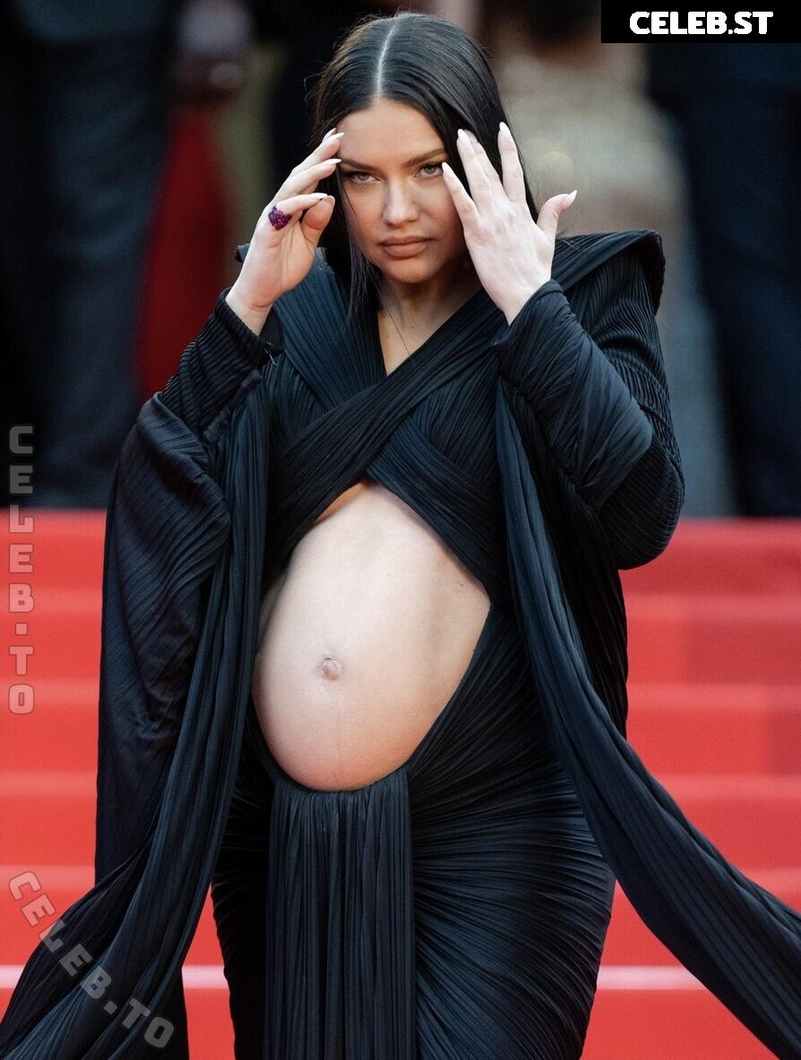 Pregnant Image 27171077