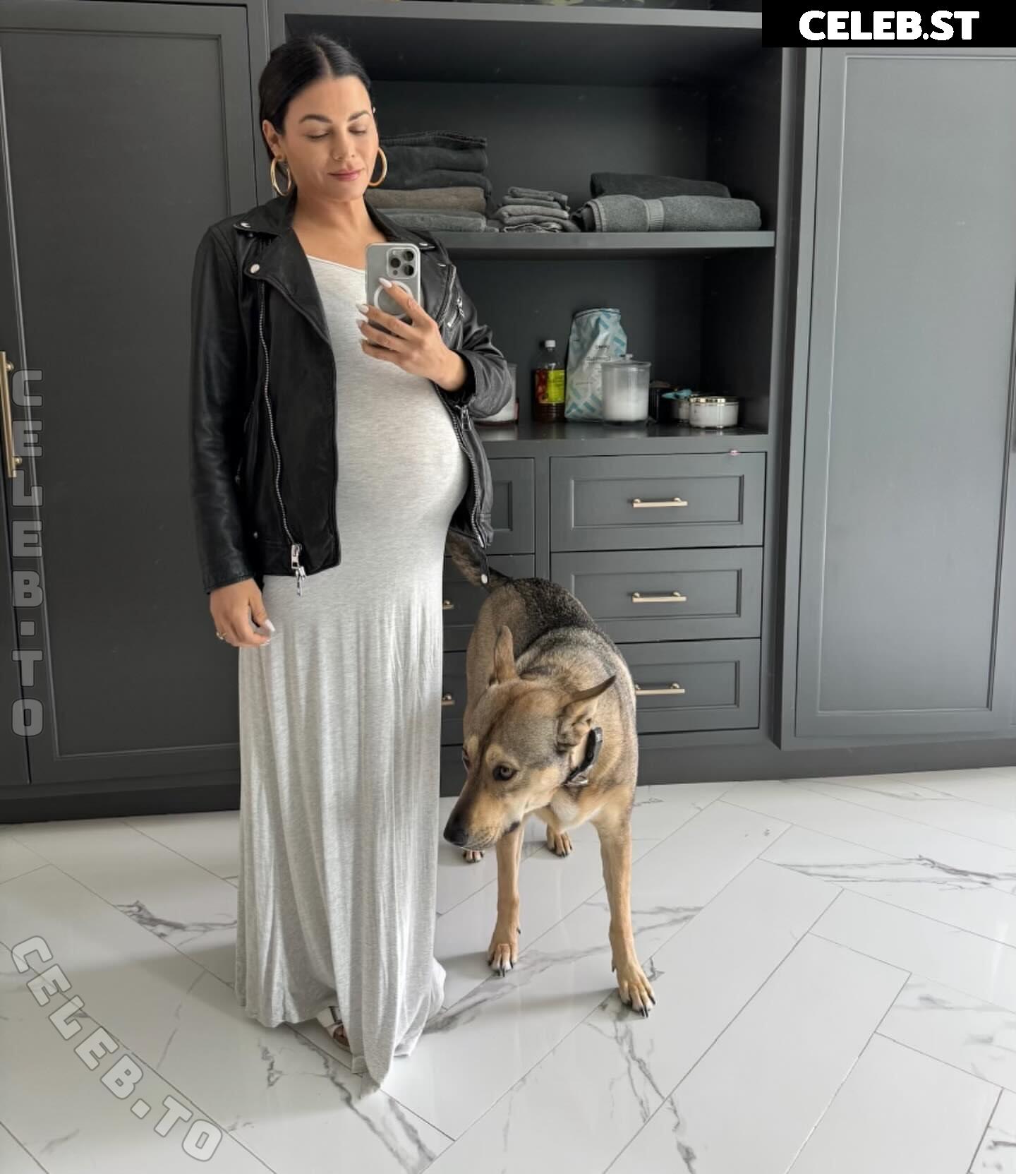 Pregnant Image 27171229