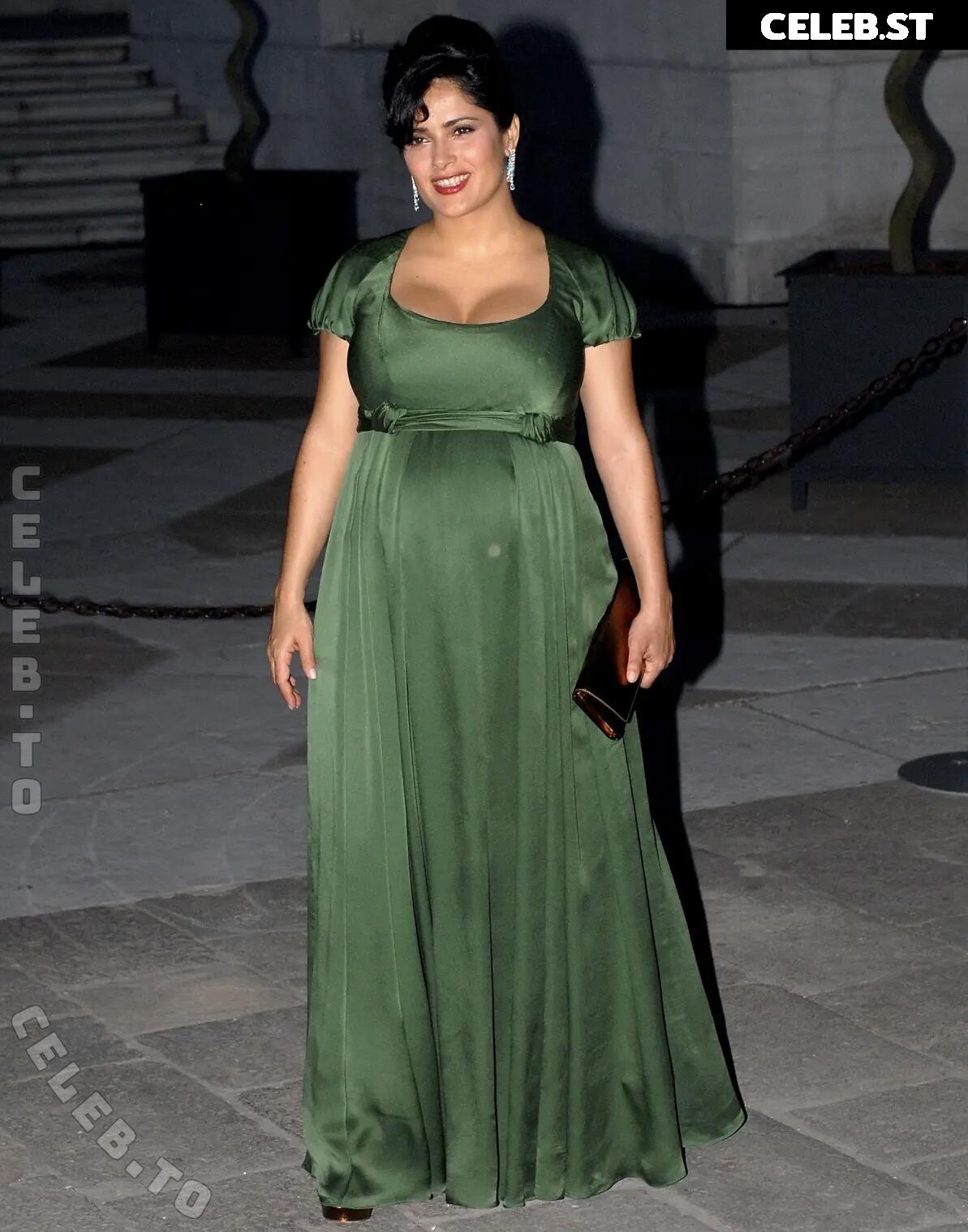 Pregnant Image 27171206
