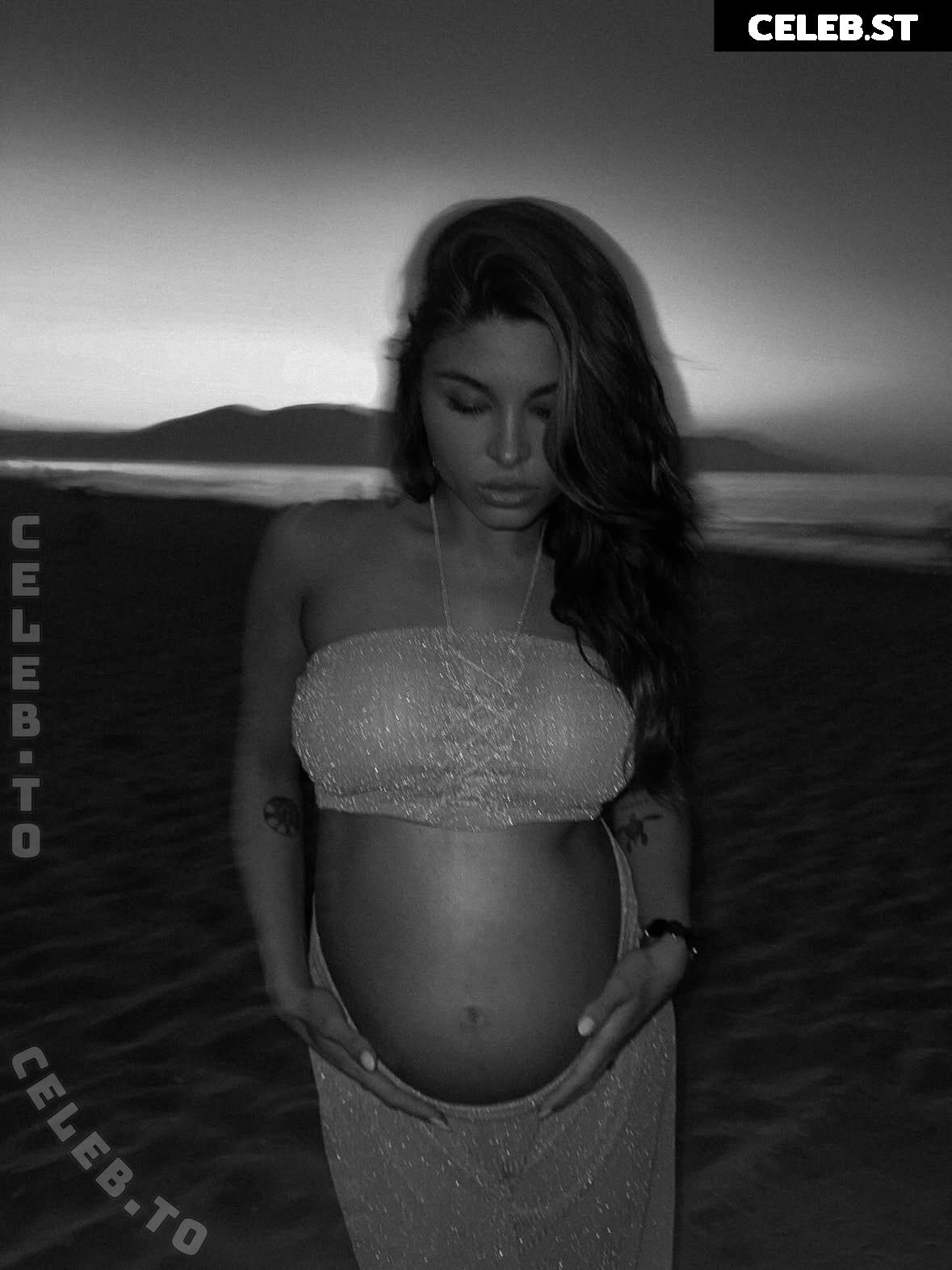 Pregnant Image 27171247