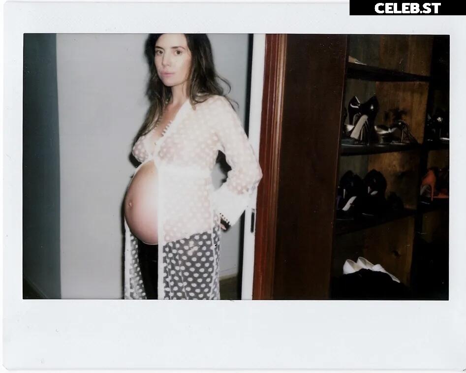 Pregnant Image 27170925