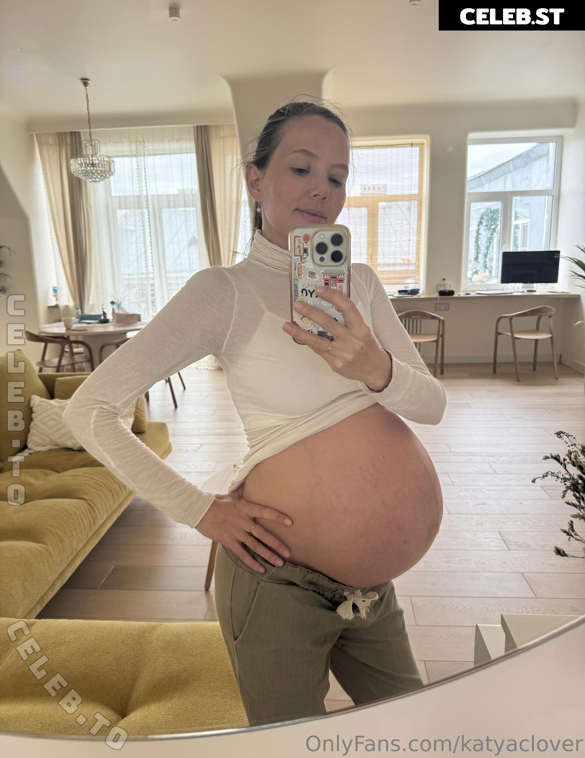 Pregnant Image 27170908